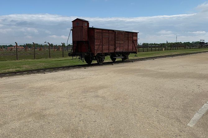 1 Day Trip Auschwitz-Birkenau Memorial and Museum Guided Tour from Krakow - Pickup in Krakow: Morning timing and the shared minibus vibe