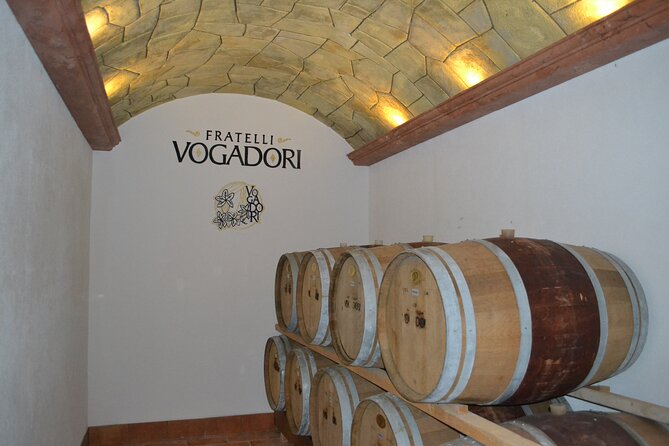 Amarone della valpolicella wine experience meet the vogadori family the experience deep dive