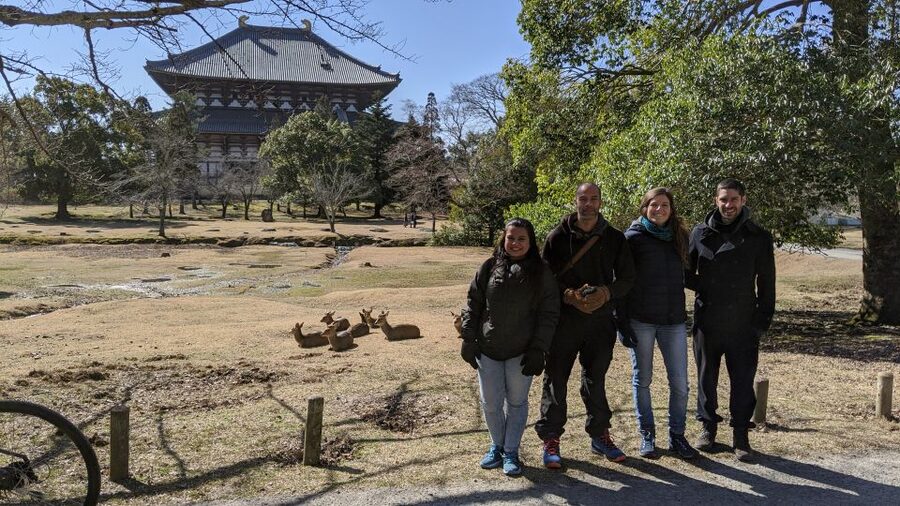 Nara: city highlights shared group or private bike tour why choose the nara bike tour? an honest look
