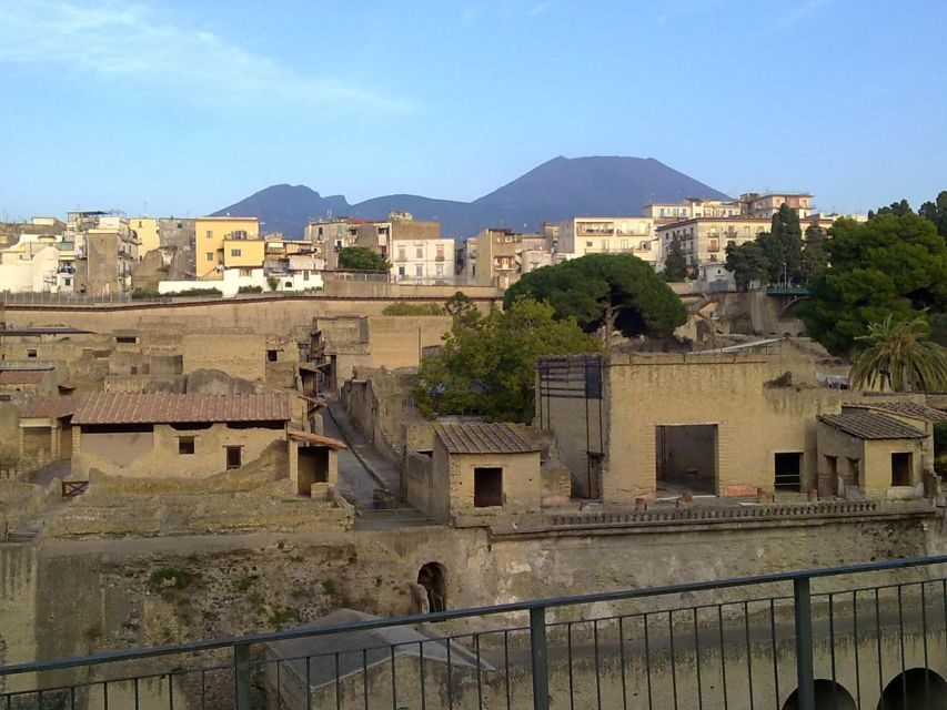 2-Hour Private Tour of the Ruins of Herculaneum - Council Hall of the Augustali: frescoes with Hercules