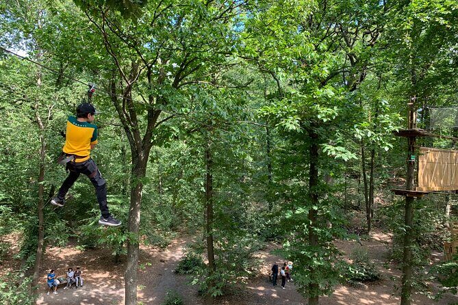 Accrobranches course in the middle of the forest in Saint-Germain-en-Laye - Arriving at AccroCamp: Where Forest Adventures Start