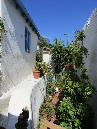 Acropolis monuments, Parthenon and Plaka, Monastiraki walking tour - Greek snacks on the route: small comfort, real local taste