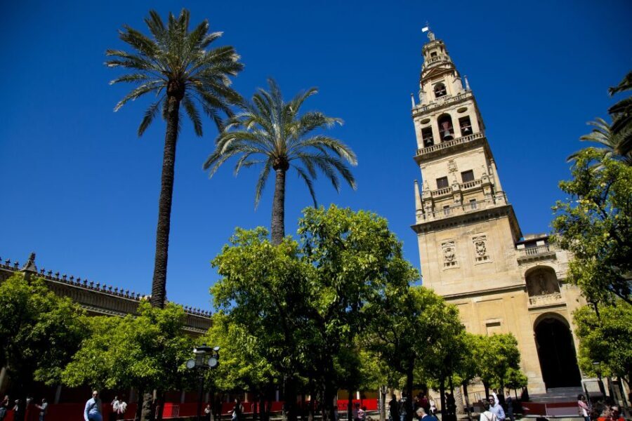 Alcazar of Cordoba Entry Ticket and Guided Tour - Key highlights you’ll care about