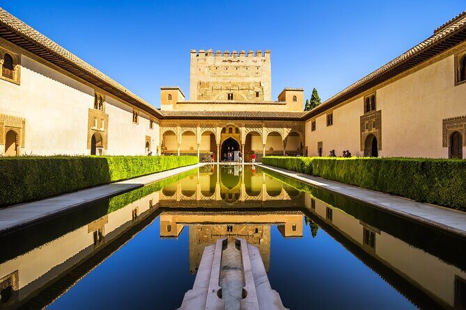 Alhambra Ticket and Guided Tour with Nasrid Palaces - The guide and the audio device: the real value add