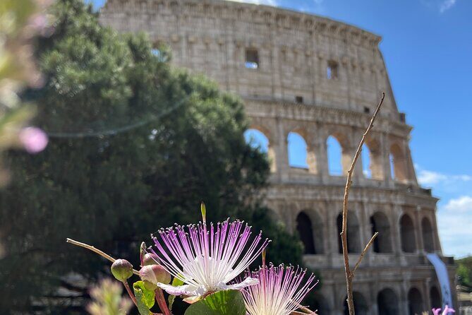 Ancient Rome: Colosseum + Digital Booklet and Audioguide - Who this experience suits best (and who might want something else)