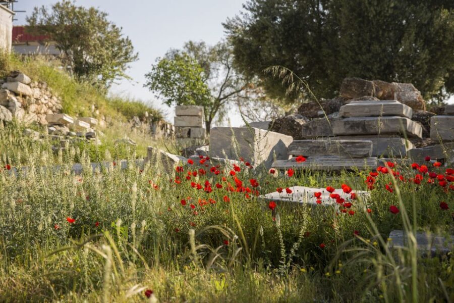 Athens: Acropolis Beat the Crowds Afternoon Guided Tour - Who This Tour Is Best For