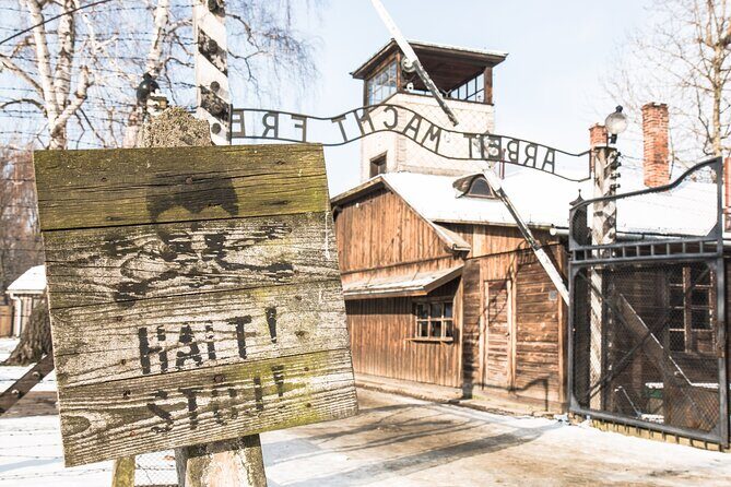 Auschwitz-Birkenau and Wieliczka Salt Mine Full Day Tour - Krakow Pickup: The Meeting Point and Timing You Need