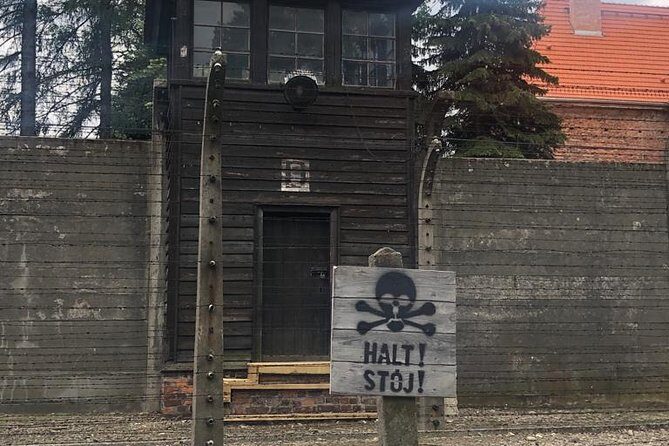Auschwitz-Birkenau and Wieliczka Salt Mine Museum Guided Tour from Krakow - One day, two very different sites from Krakow
