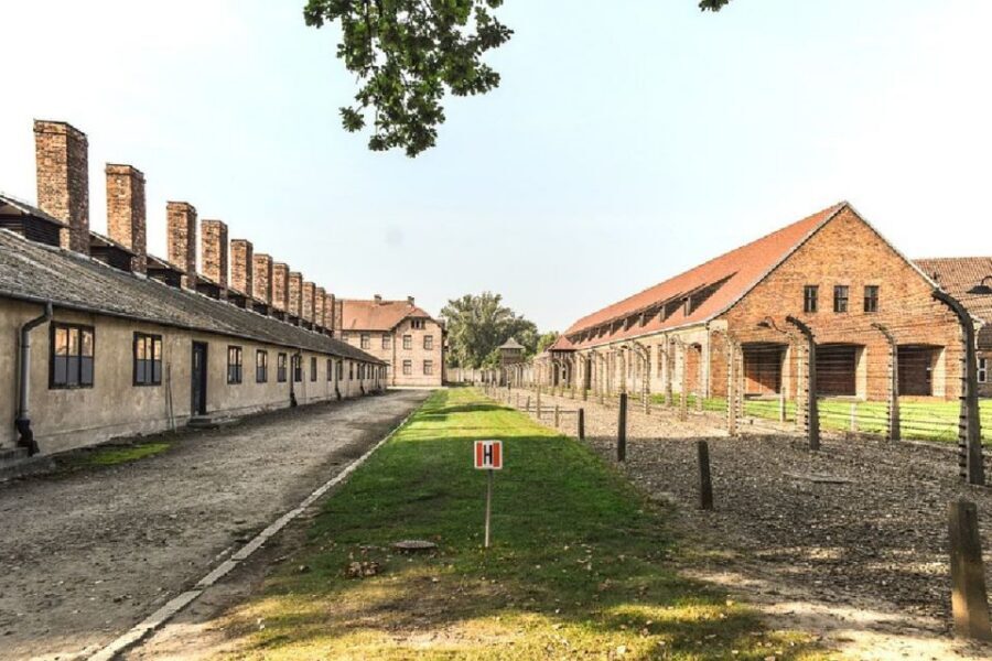 Auschwitz-Birkenau Guided Tour & Transfer from Krakow - Transfer From Krakow: Pickup Options and the Real Timing