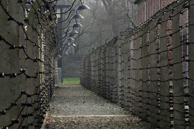 Auschwitz-Birkenau Private Tour from Krakow - Admission handled for you: time saved without ticket stress