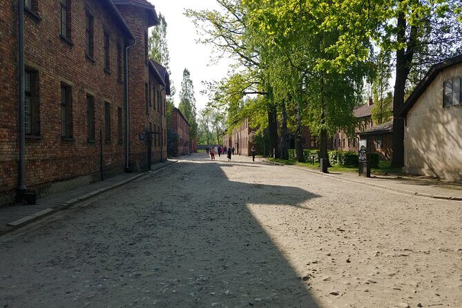 Auschwitz Birkenau Tour with Private Transport from Kraków - The guide experience: licensed, English speaking, and built for questions