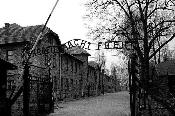 Auschwitz Birkenau Transfer and Guide with Salt Mine Combo Option - Matejko Square Lunch Break: A Needed Reset Between Two Worlds
