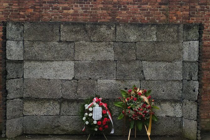 Auschwitz Museum and Salt Mine Tour with Private Transport - Who should book this (and who might want a shorter plan)