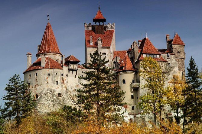 Bear Sanctuary Zarnesti,Bran Castle,Rasnov Fortres w/Hotel pickup - The Mercedes V-Class ride: comfort that matters in a long day