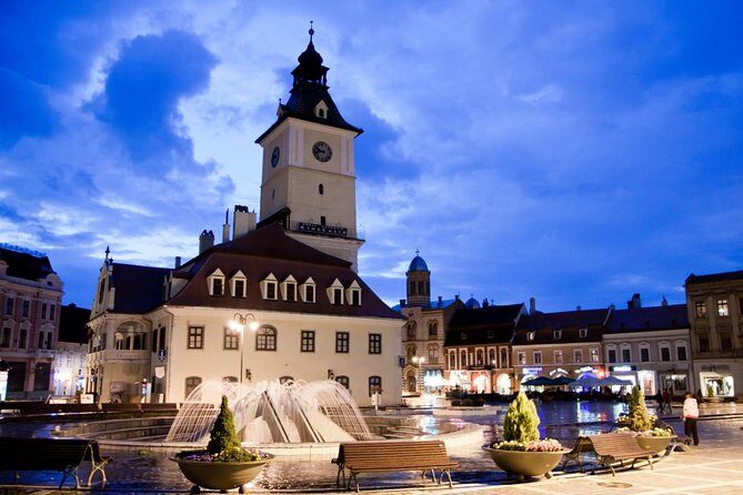 Bears Sanctuary, Dracula's Castle, Brasov Day Trip Private Tour from Bucharest - Tips to get the most from the day
