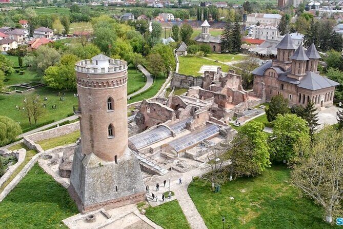 Bison Sanctuary, Vlad the Impaler Princely Court & Dracula Grave - Who this tour suits best