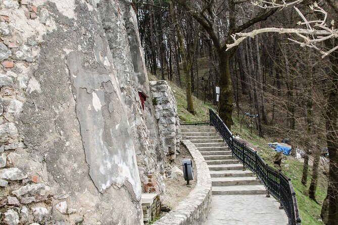 Bran Castle, Bear Sanctuary, and Rasnov Fortress Half Day Tour - Stop 1: LiBEARty Bear Sanctuary near Zărnești