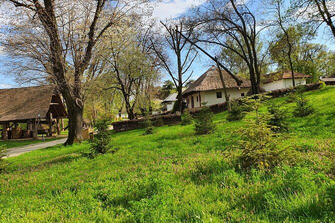 Bucharest Private Tour with Dracula's Grave and Ceaușescu Mansion - Price, What You Get, and What You Should Budget for
