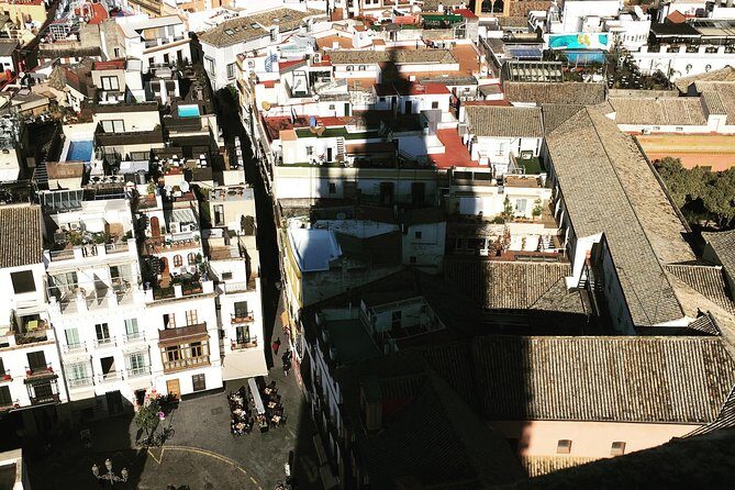 Cathedral and Real Alcàzar in Italian - Guide Quality: The Names You’ll See in the Feedback