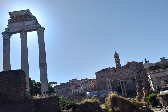 Colosseum & Ancient Rome - Private Tour - Who should choose this private Colosseum tour?