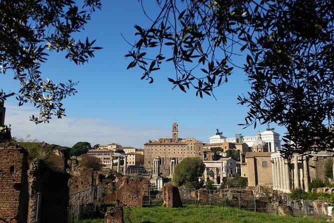 Colosseum and Roman Forum Private Tour led by an archaeologist - Who should book this private Colosseum and Roman Forum tour