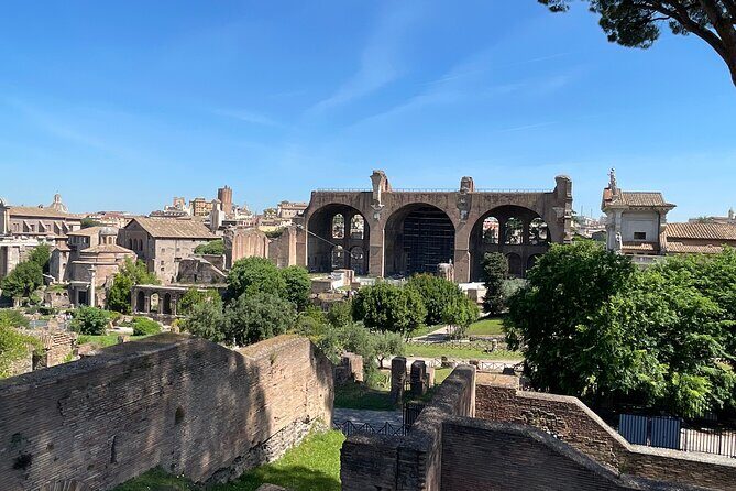 Colosseum Arena and Ancient Rome Private Tour - Palatine Hill: Romulus and Remus to Imperial Residences