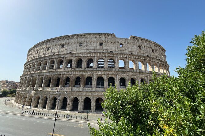 Colosseum Arena and Ancient Rome Private Tour - Should You Book This Private Colosseum + Forum Tour?