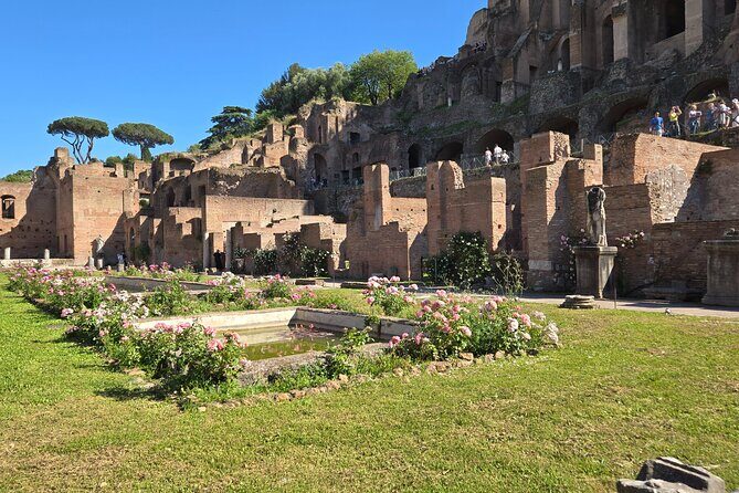 Colosseum Arena Floor, Roman Forum & Palatine Hill Guided Group Tour - Meeting Point and Tour Flow: Start Smart, Finish Flexible