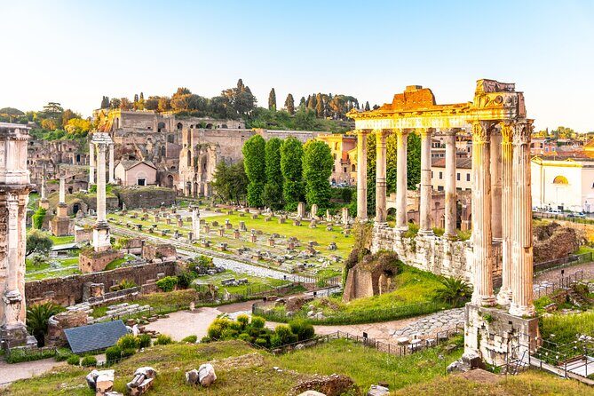 Colosseum, Roman Forum and Palatine Hill Guided Walking Tour - Palatine Hill: where emperors built, and trees cover the ruins