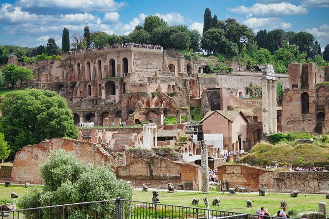 Colosseum Underground Tour and Access to Forum and Palatine Hill - Meeting at the Arch of Constantine, finishing at the Roman Forum