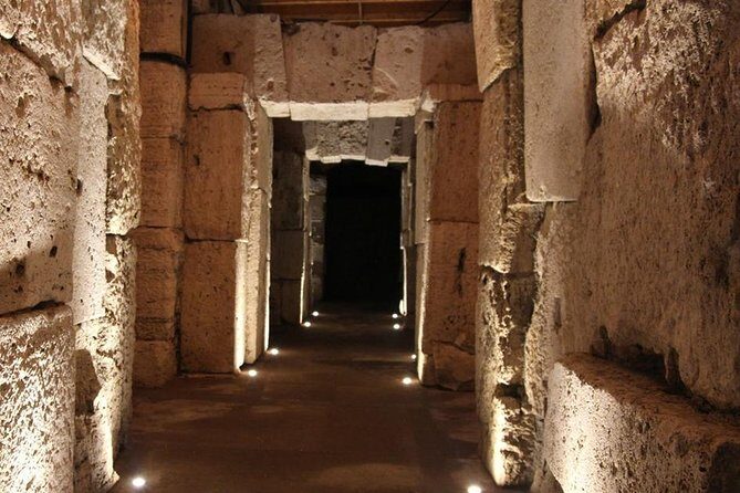 Colosseum Underground Tour with Gladiators Arena in a Group - Roman Forum + Palatine Hill: Limited Time, Best Strategy