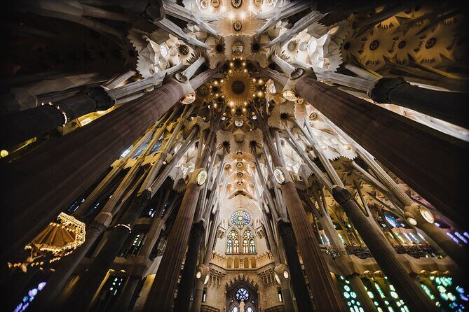 Complete Gaudi Tour: Casa Batllo, Park Guell & Sagrada Familia - Casa Batlló in the morning: tiles, light, and those breathing-gills