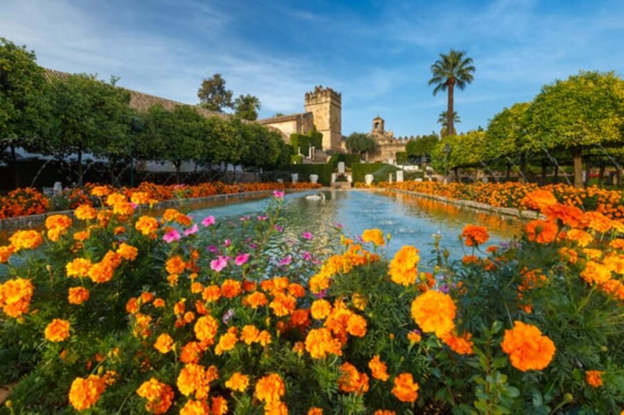 Cordoba: Alcazar of Christian Monarchs 1–Hour Guided Tour - Should you book the 1-hour Alcázar tour?