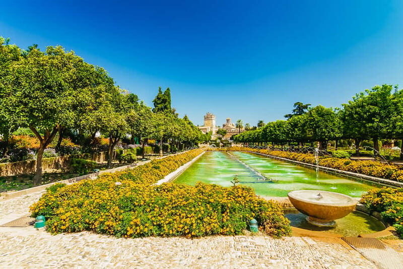 Córdoba: Jewish Quarter, Mosque, and Alcázar Tour - Price and Value: Is $50 a Fair Deal?