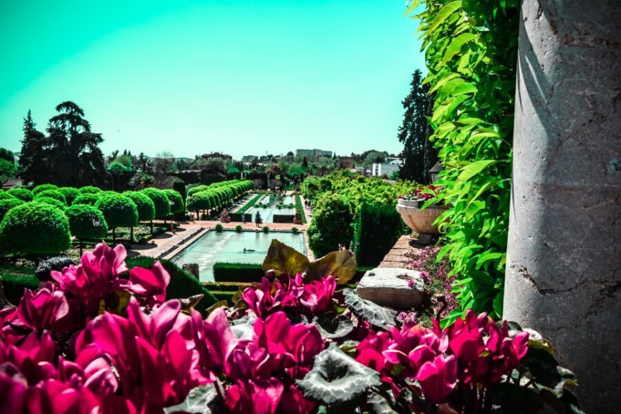 Córdoba: Mosque-Cathedral and Alcazar Tour - Timing and Pace: How to Plan Your Half-Day