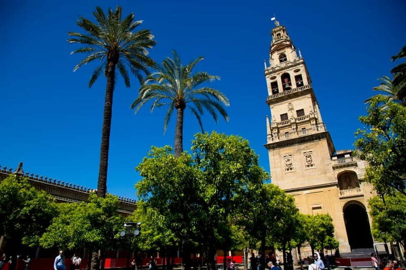 Córdoba: Mosque-Cathedral, Jewish Quarter and Alcázar Tour - Guides: what I’d expect from the best sessions