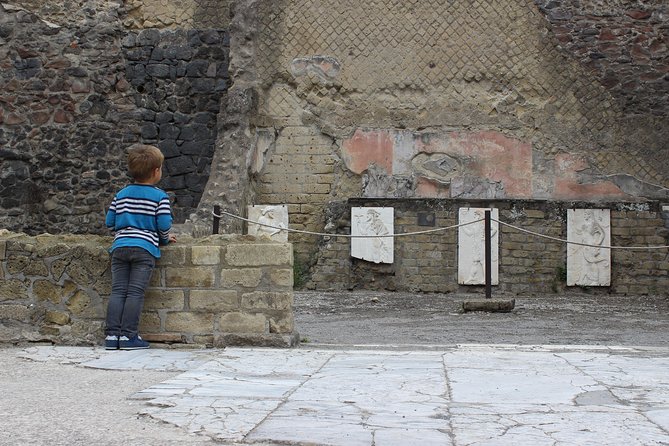 Excavations of Herculaneum. Tour guide and skip-the-line ticket - Skip-the-line style access and small-group value