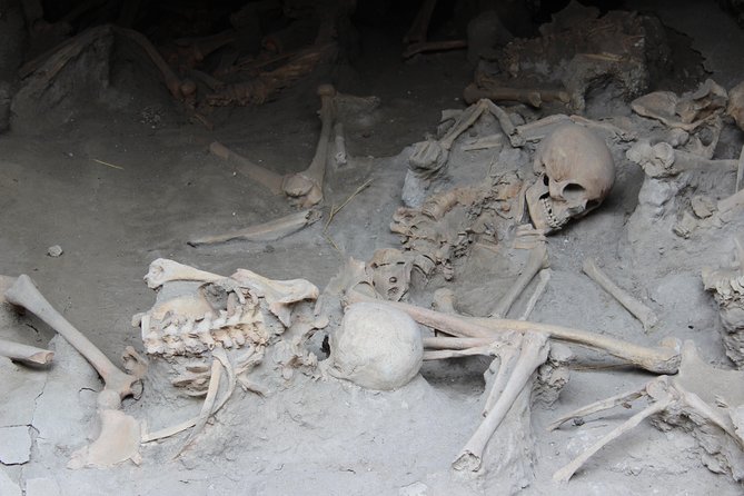 Excavations of Herculaneum. Tour guide and skip-the-line ticket - Who this tour suits best