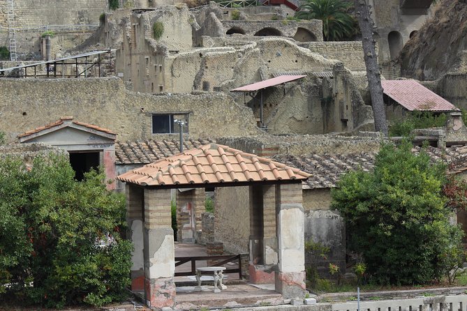 Excavations of Herculaneum. Tour guide and skip-the-line ticket - What you’ll see: houses, mosaics, and the thermae experience