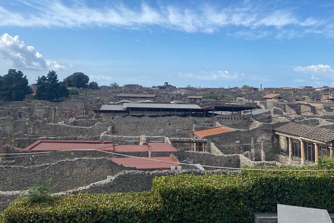 Exclusive Half-Day Tour in Pompeii with skip the line tickets - Naples Pickup to Pompeii: Why the Mercedes Ride Matters