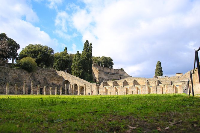 Exclusive Shore Excursion from Naples Cruise Terminal to Pompeii & Amalfi Coast - The guide team: driver, local guide, and art historian support