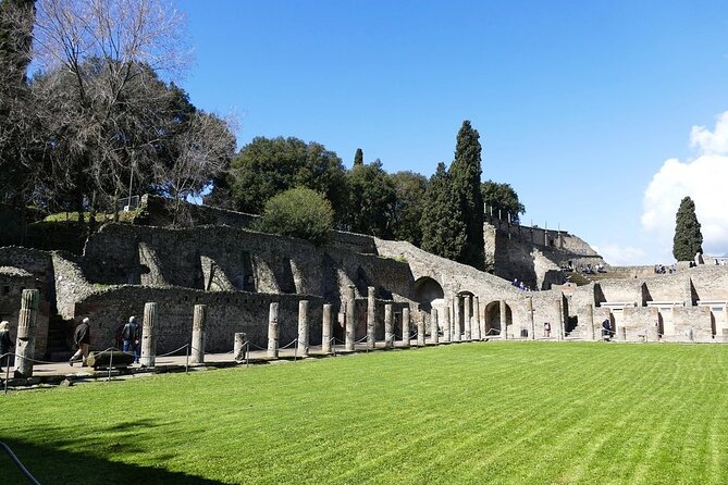 Explore Pompeii Half Day Highlights Tour with Pickup from Naples - Vettii House frescoes: why art feels personal here