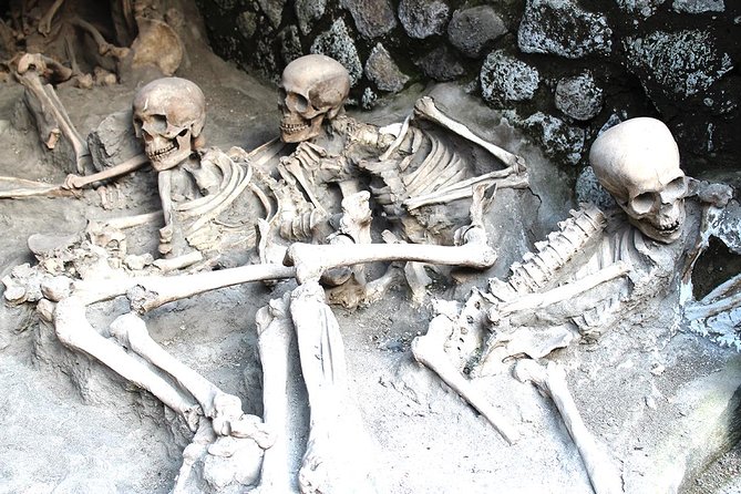 Fast Access Exclusive Private Ancient Pompeii Herculaneum & Oplontis Guided Tour - Fast access across Pompeii, Ercolano, and Oplontis