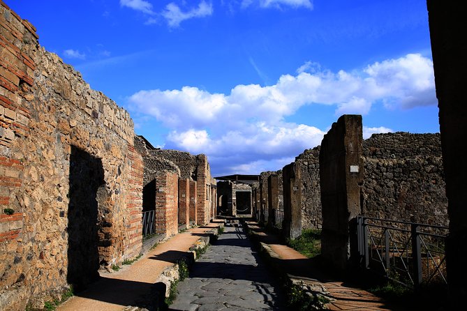 Fast Access Exclusive Private Ancient Pompeii Herculaneum & Oplontis Guided Tour - Why the UNESCO triple-combo feels like real value