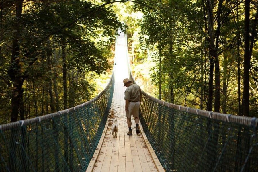 Foxfire mountain: hiking & swinging bridge family adventure highlights of foxfire mountain family adventure