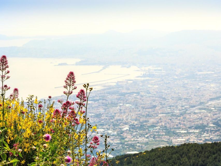 From Castellammare di Stabia Combo Tour_Pompeii & Vesuvius - Transfers and pacing: 5.5 hours that actually feel organized