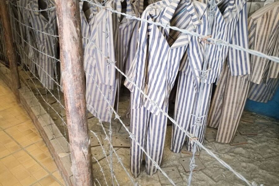 From Krakow: Auschwitz and Wieliczka Salt Mine Full-Day Trip - Should you book this Auschwitz and Wieliczka day trip?