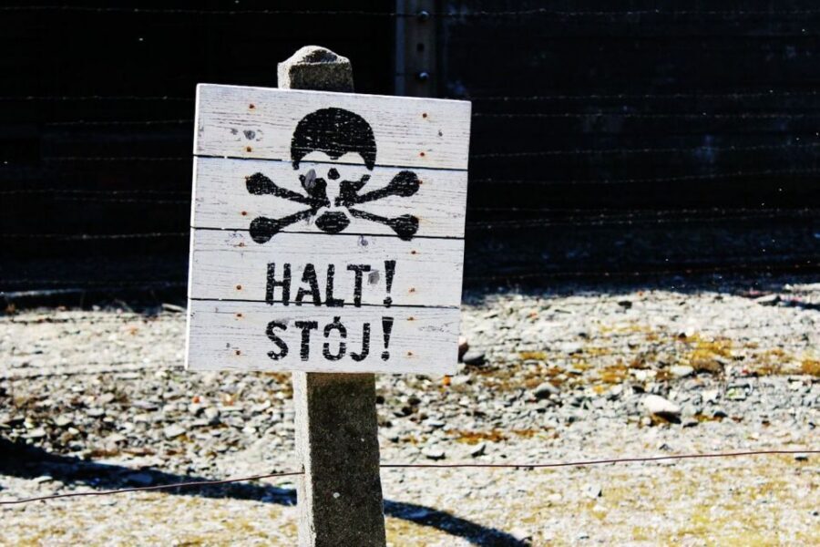 From Krakow: Auschwitz Birkenau and Salt Mine Guided Tour - Who This Tour Suits Best (and Who Might Want Another Option)
