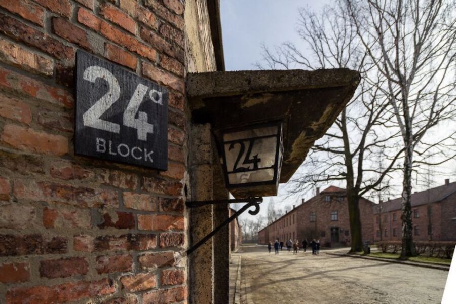 From Krakow: Auschwitz-Birkenau Full-Day Tour - Birkenau: when scale changes how the story lands