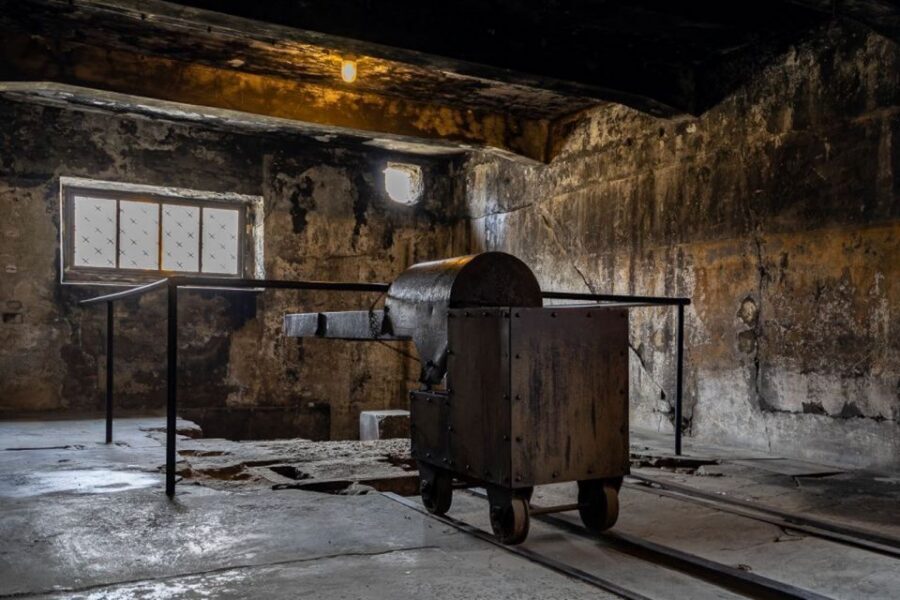 From Krakow: Auschwitz-Birkenau Full-Day Tour - Getting to and from Krakow without stress